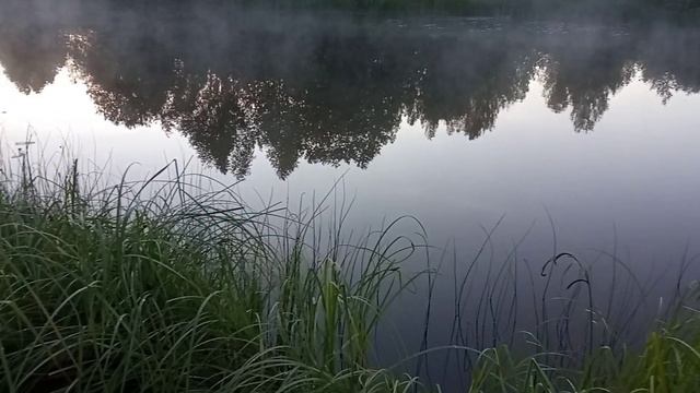 Раннее раннее утро. Рыбалка на пруду. Непередаваемая атмосфера