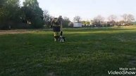 ВЕО Гретта. 4 месяца. Послушание.