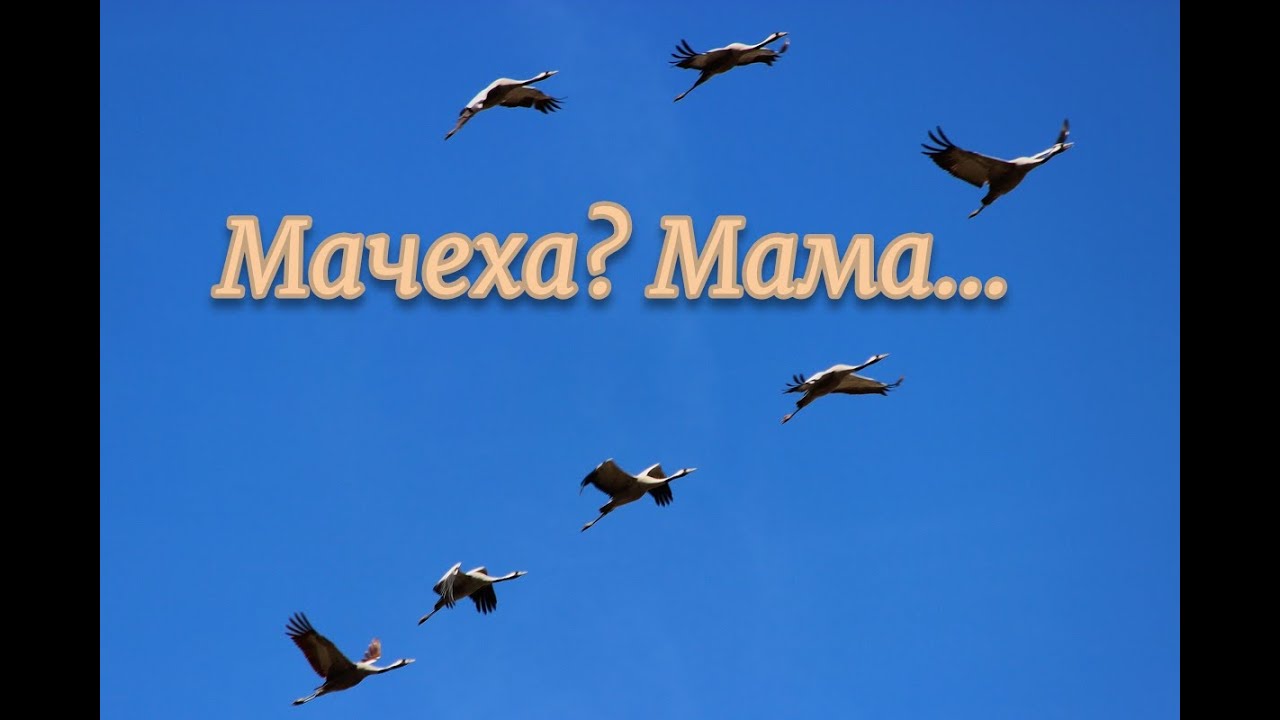 Мачеха? Мама