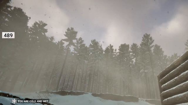 Son's Of the Forest! 18 Plus ! Join me on Kick