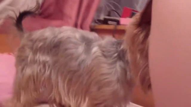 тимошка алёны денил 1 видео