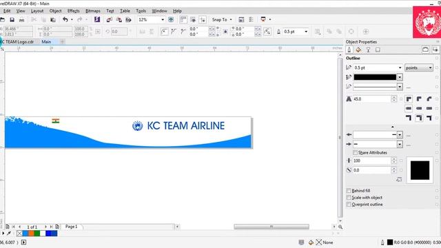 Airplane Branding | Advertisement on Airplane | CorelDRAW