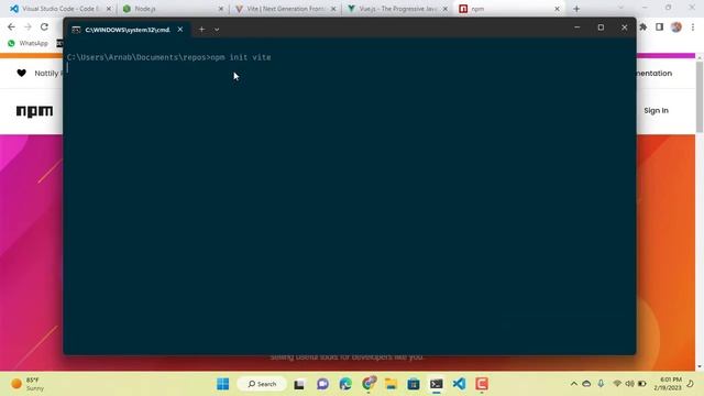 ? The coming VueJs crash course.