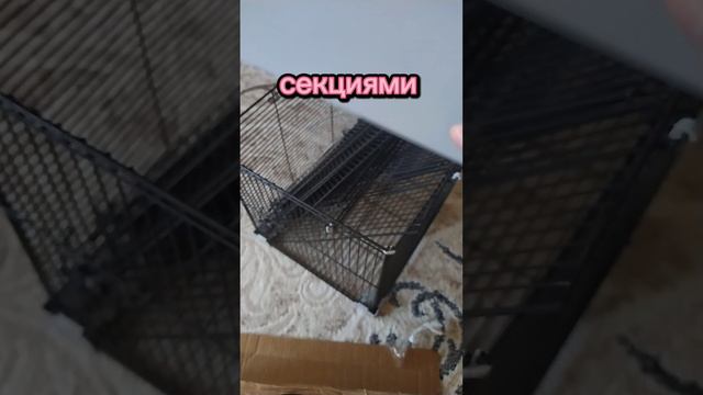Не удачная клетка