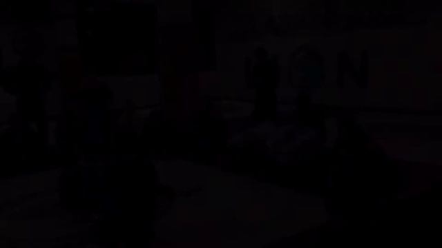LION BAZA Академия Единоборств