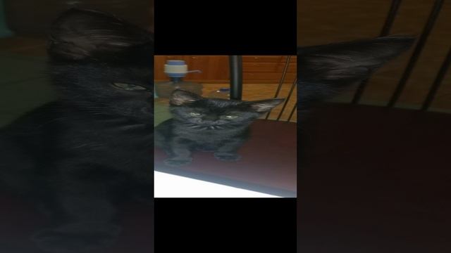 20231121_192716.mp4
