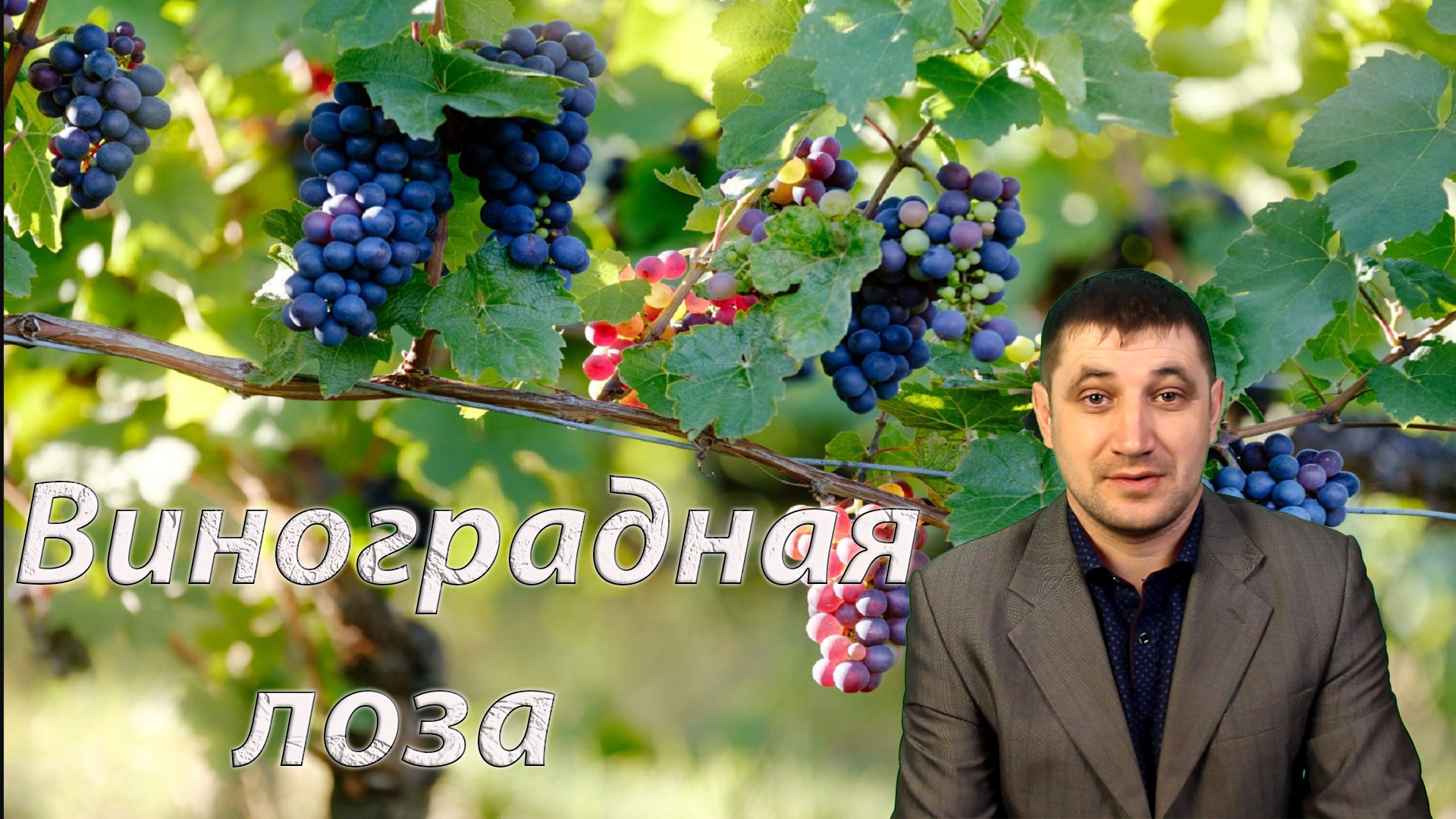 Я есмь истинная виноградная лоза, а Отец Мой - виноградарь Иоанна 15:1-8 стих