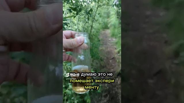 болото щелочное или кислотное по шкале рН #лакмус #ph #вода #болото #эксперимент