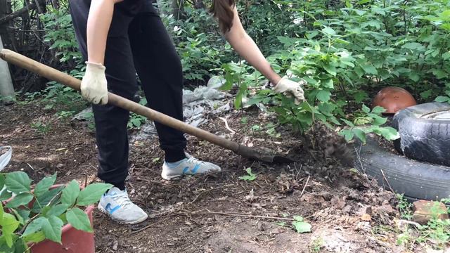 Расчищаю место под зону отдыха и немного дачных дел