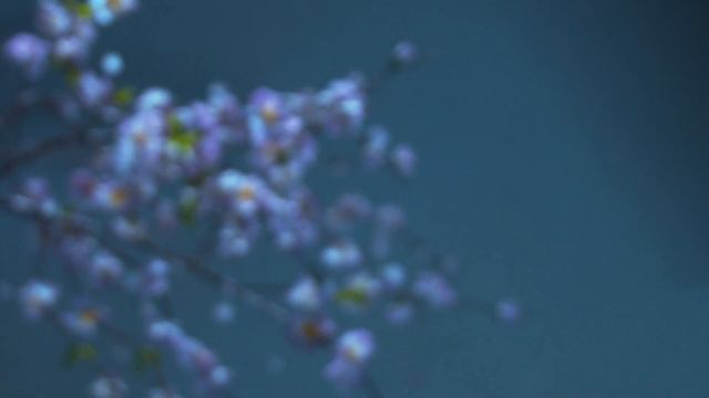 Скрытый значит не заметный - двери СВОЁ