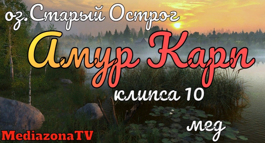 Русская Рыбалка 4 Где Клюет оз.Старый Острог Амур Карп 14.01.23