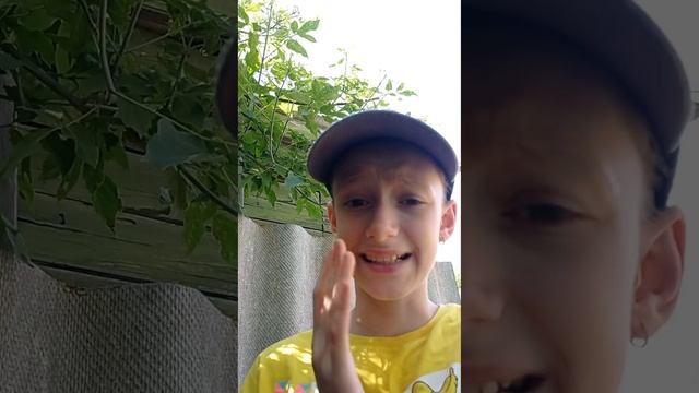 Смотреть видео онлайн