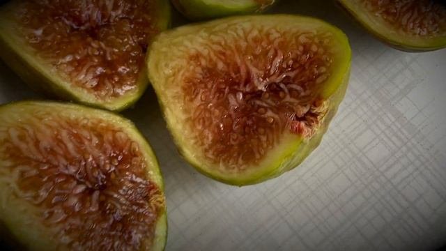 Corio Provence Fig