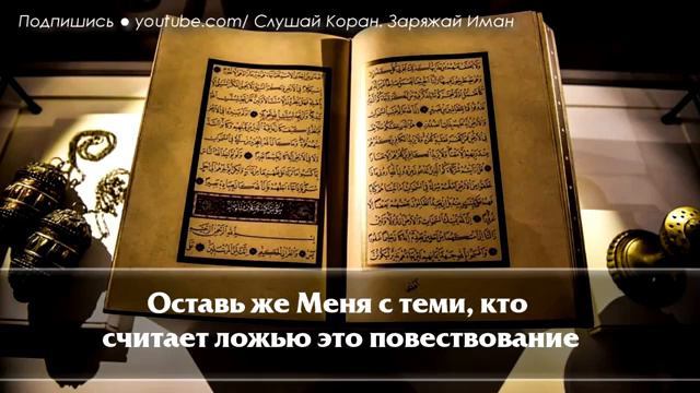 СЛУШАЙТЕ КОРАН - УБИРАЕТ ВЕСЬ НЕГАТИВ И СТРЕСС УВЕЛИЧИВАЕТ ИМАН СЧАСТЬЕ