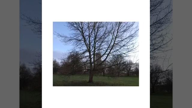 Ep122 London-Hyde Park in London
