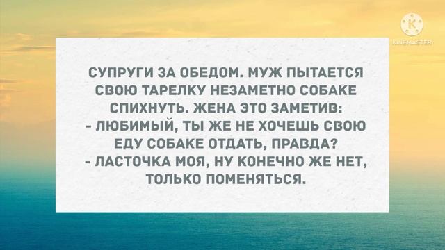 Милый, раздень меня словами... Подборка веселых анекдотов! Приколы!