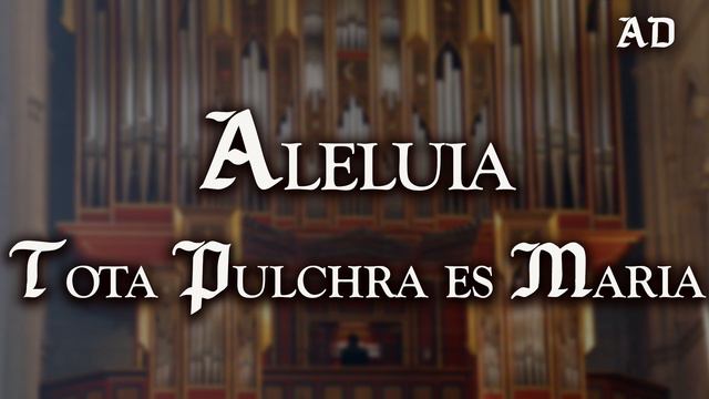 Alleluia, Tota Pulchra es Maria - Canto Gregoriano | Gregorian Chants