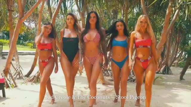 Kid Creole & The Coconuts ~ Stool Pigeon1