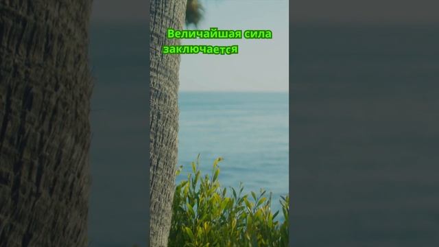 Величайшая сила#shorts