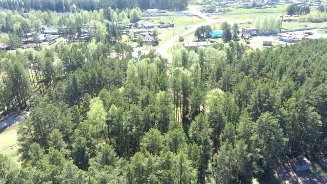 Село Пычас с воздуха/Удмуртская республика