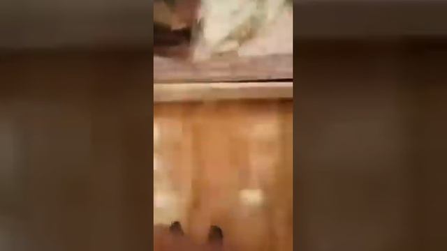 Как делать кувырок ?