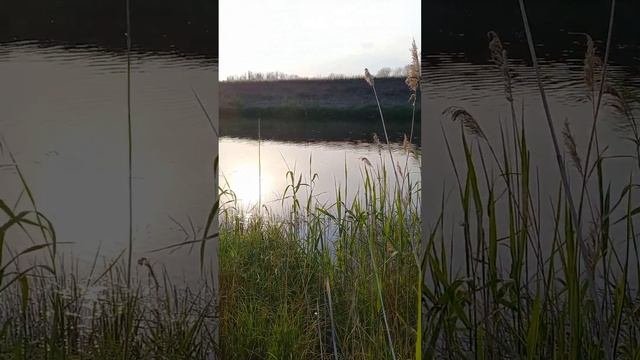 Мой рабочий кабинет☀️