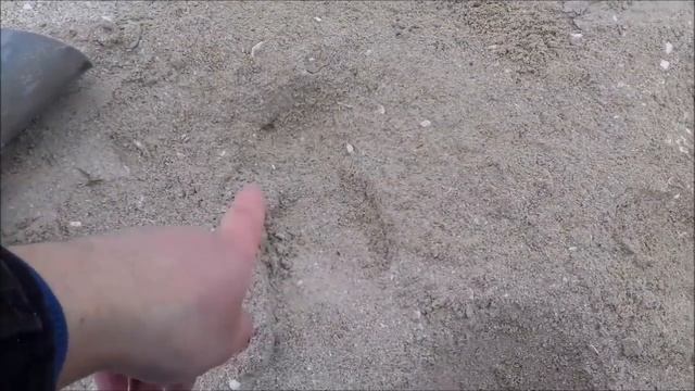 Самый удачный пляжный коп в 2017 году! Есть все! И золото и серебро!