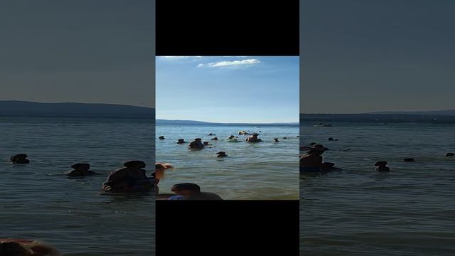 1000211570.mp4