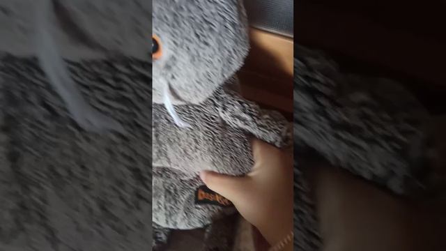 Басики играют