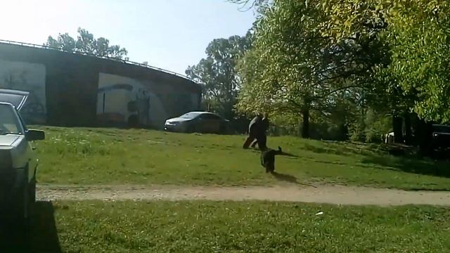 Рчт Тиффани ЗКС атака из за машины