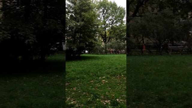 город Санкт-Петербург
10 лет Новая эра годовщина