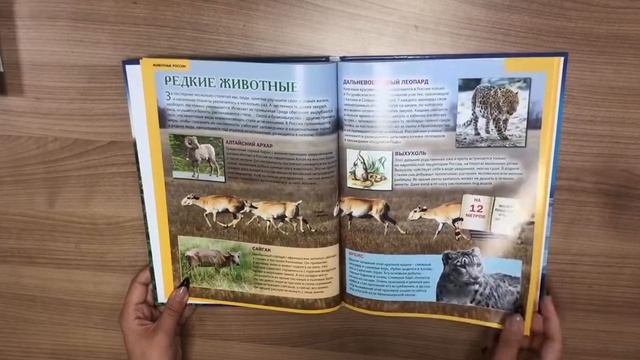 Животные России. Иллюстрированная детская энциклопедия
