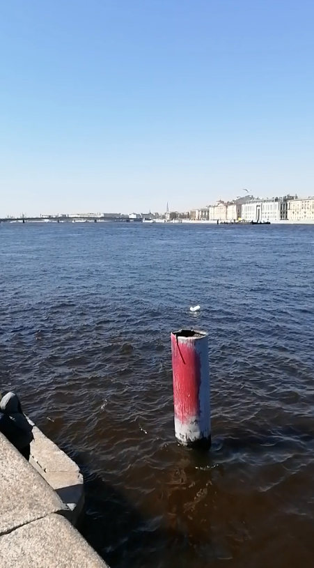 Панорамный вид с Воскресенской набережной. Петербург