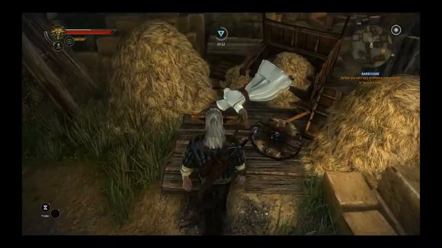 The Witcher 2: 