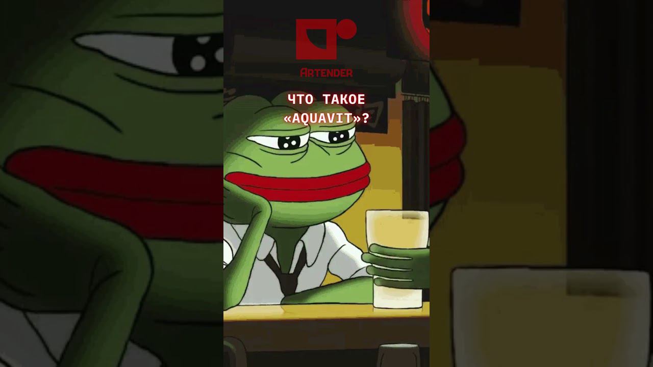 ЧТО ТАКОЕ "AQUAVIT"?! #cocktails #бармен #коктейль