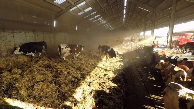 Strautmann Verti-Mix 1251 mit Strohgebläse