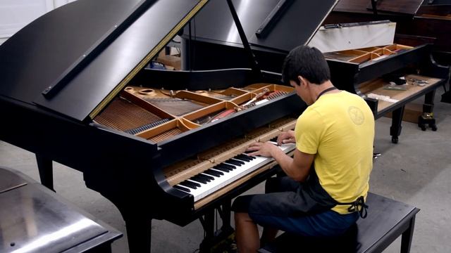 Steinway Model L Grand Piano #482262  - Pathetique Sonata