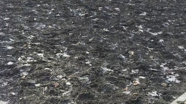 Город Междуреченск.                             Проспект Шахтёров.                          Новости
