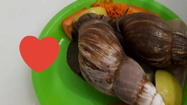 Мои улиточки Ахатины отдыхают ??