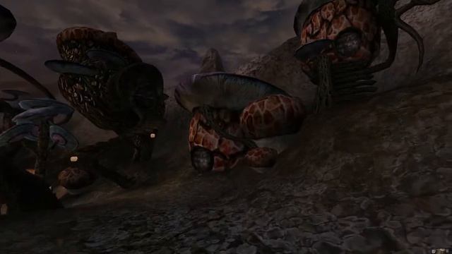 Morrowind EP 05: Lerne was, so kannst du was! [GER]