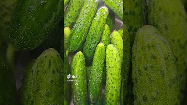 Начинаю крутить огурцы!!!🥒🥒🥒