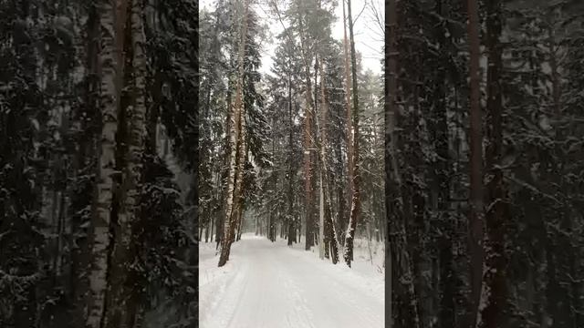 Снег красиво падает