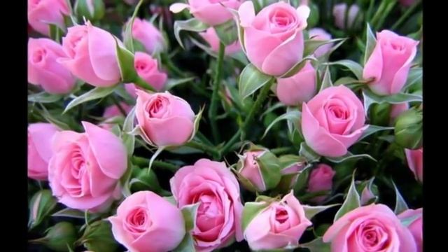 "СОНАТА ДЛЯ ФОРТЕПИАНО И РОЗЫ" -"SONATA FOR PIANO AND ROSES"