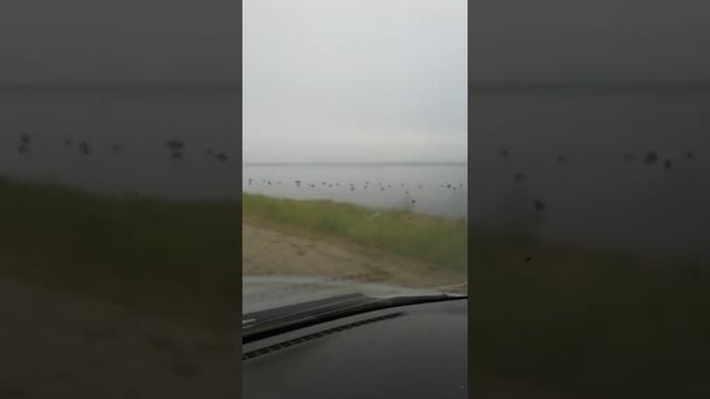 Ловля омуля в Северобайкальске