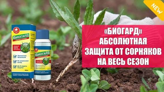 Гербицид против сорняков на газоне 🔔 Гербициды украина новинки 2021