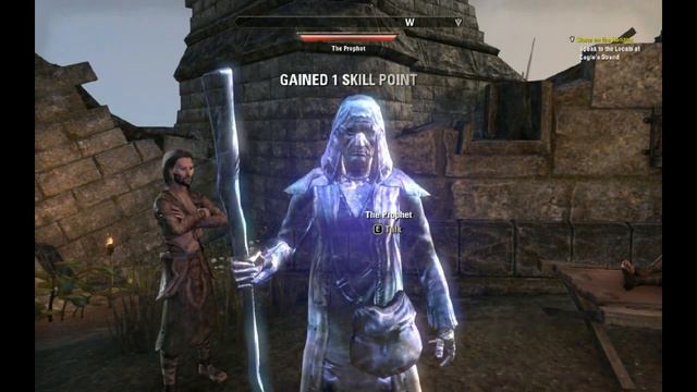The Elder Scrolls Online САМЫЙ ПРАВДИВЫЙ ОБЗОР