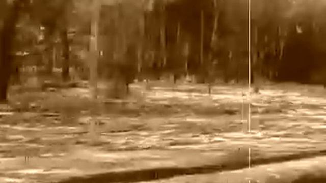 охота с борзыми