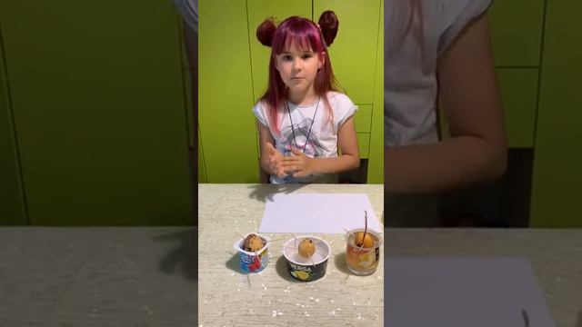 Как вырастить авокадо из косточки