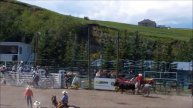 2013 Pincher Creek Ranch Rodeo