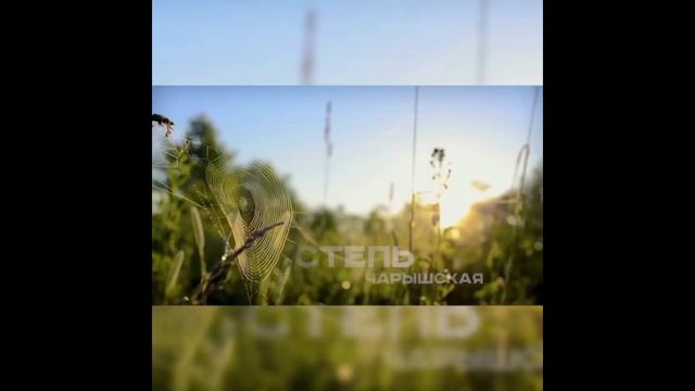 Душа Алатая.mp4
